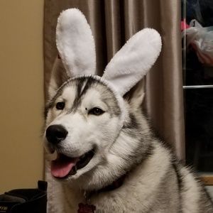 Meet your Posher, Candace